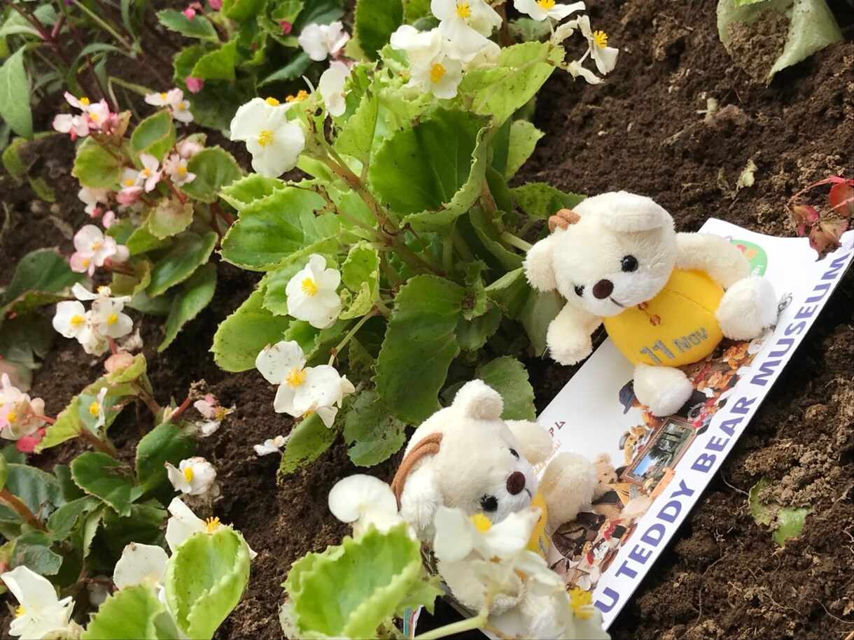 那須高原を全部紹介します 御用邸もある那須高原を裏までご紹介 イメージ4