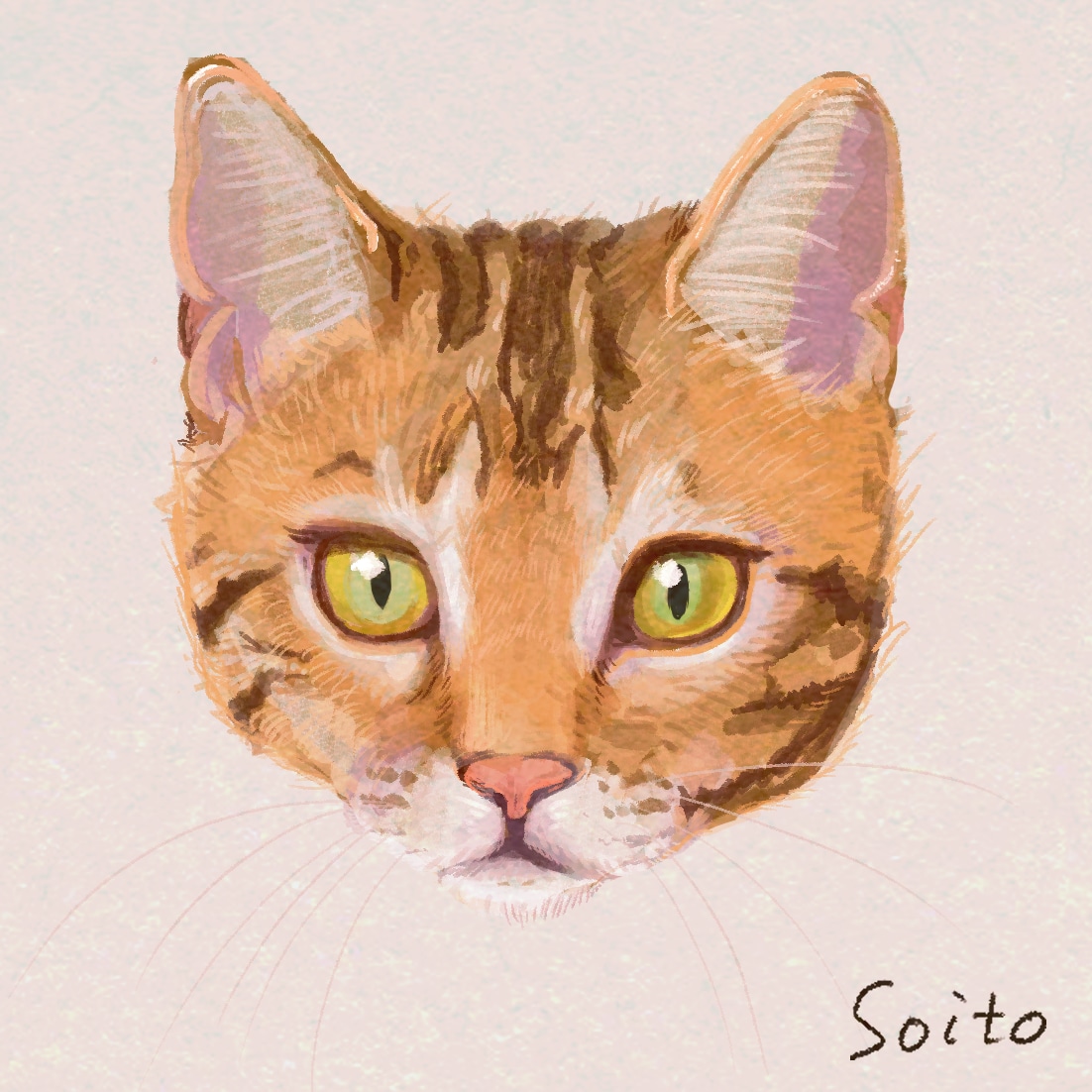 ねこちゃんの似顔絵お描きします オリジナルグッズ制作で使えるイラストをデータでお渡しします。 イメージ3