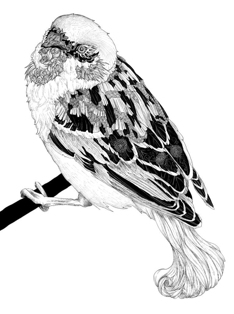 あなただけのイラストお描きします イラスト(動物、架空生物、背景無、白黒）描きます イメージ4