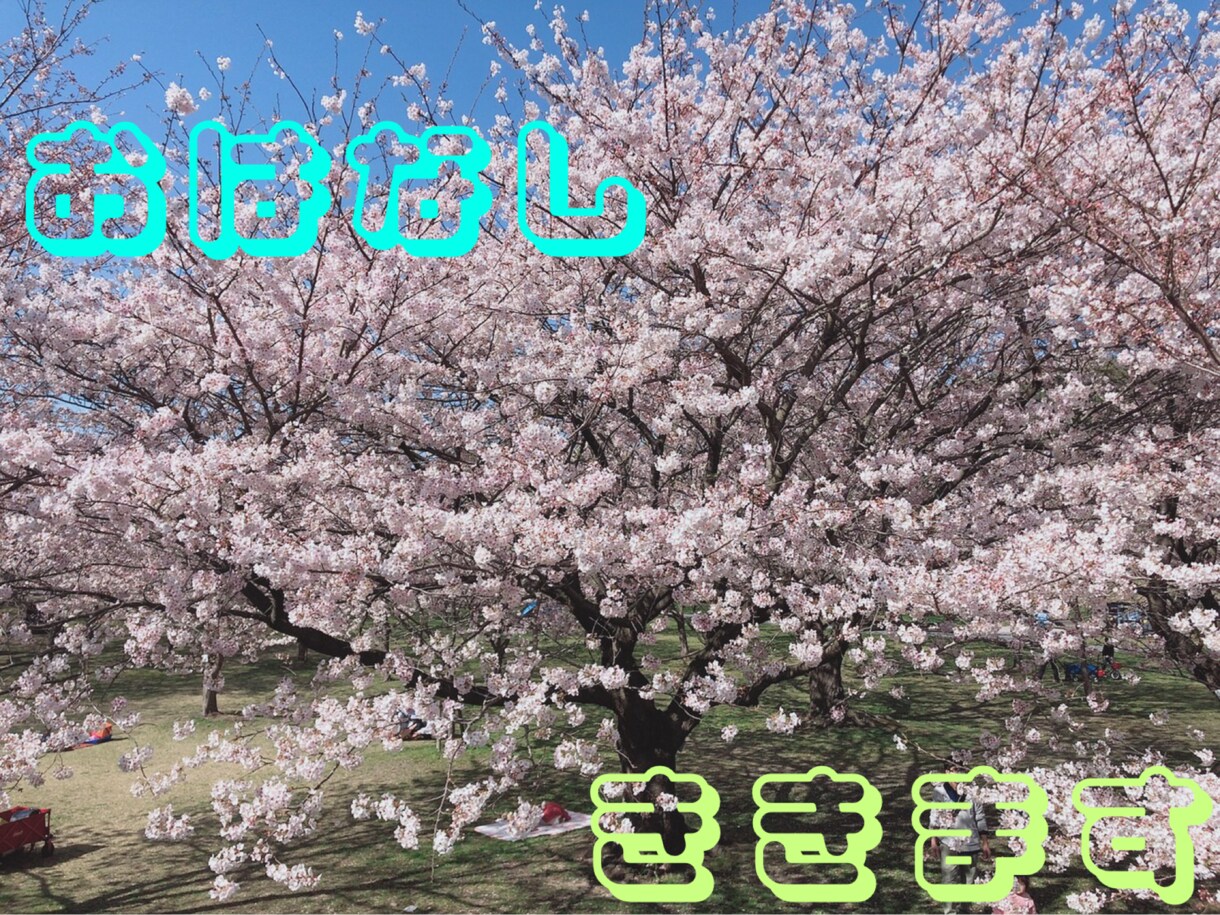 短時間でも大丈夫⭐︎お話しお聞きします 無性に話したい、愚痴を聞いてほしい方のお話しをお聞きします。 イメージ1