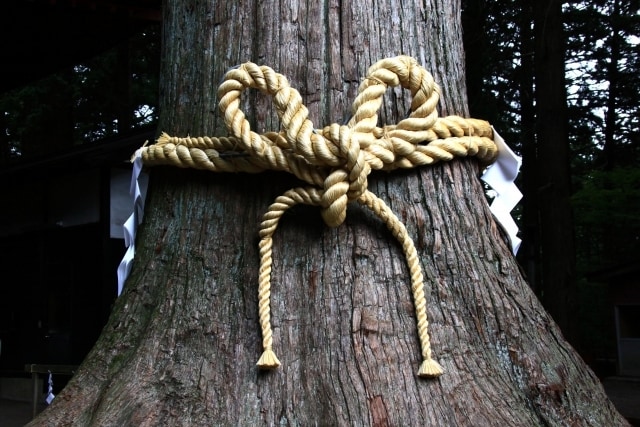 運氣の底上げ！　産土神社、鎮守神社を鑑定します 開運して人生好転させ、マイ神様と繋がって幸せになりましょう イメージ7