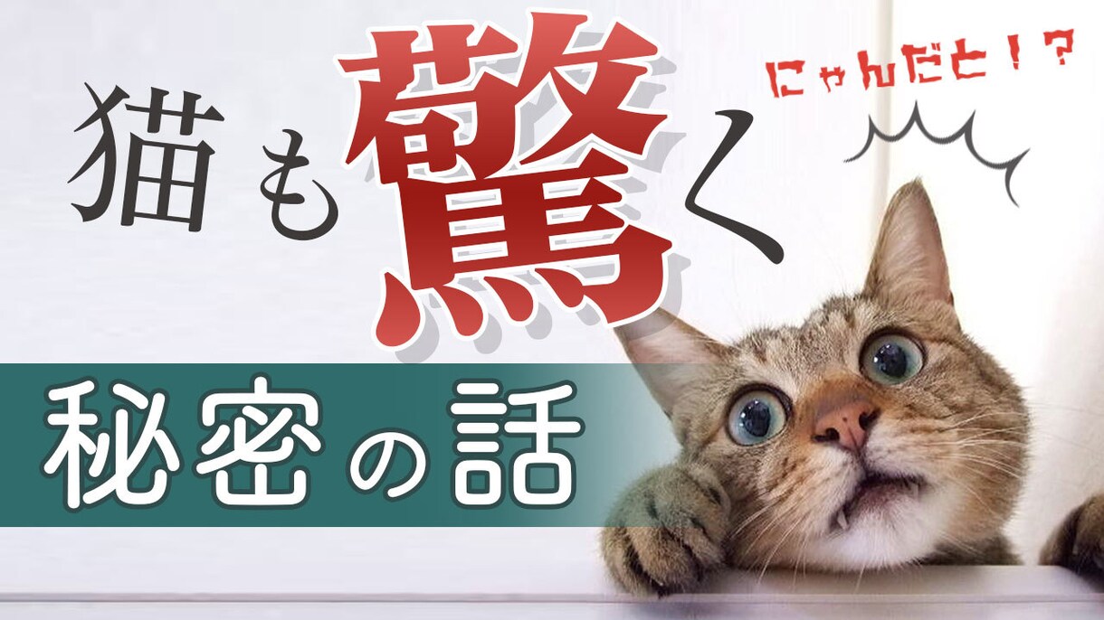 1枚♪YouTubeサムネイル作ります YouTubeに使用するサムネイルを作ります♪ イメージ3