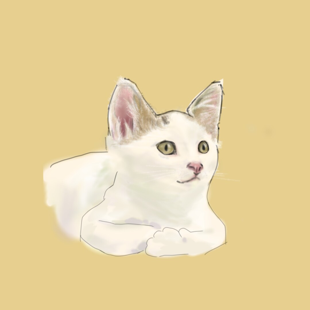 ご自宅で一緒に住んでるネコのイラストを制作します ご自宅ネコちゃんイラスト（お試し版：肩より上・顔アップ） イメージ6