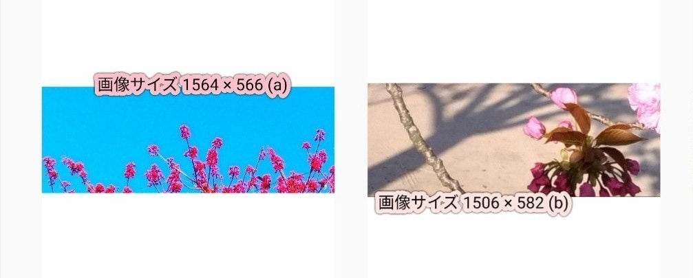 ツイッターヘッダーにお使い頂けます 選んで頂いた画像のファイルをお送りします。 イメージ1