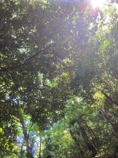 前向きになれる方法探します (HSP)あなたが少しでも前を向いて一歩踏み出せるように。 イメージ1