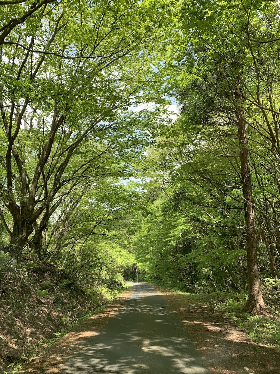おふたりの過去生からのつながりを霊視いたします あなたに寄り添う占い師　お気軽にご相談ください イメージ1