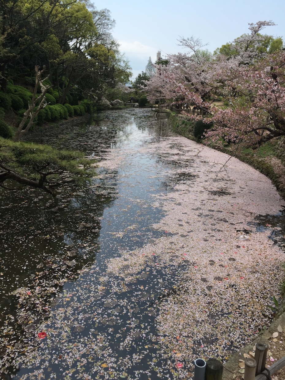 松山市内、また周辺地域の観光のお手伝いいたします お城に興味ある方、現地で俳句を楽しみたい方オススメ致します。 イメージ3