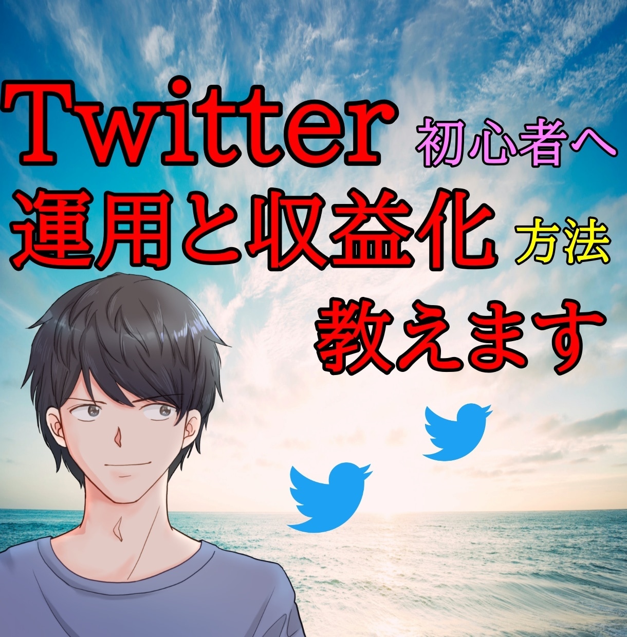Twitter運用（初心者編）と収益化方法教えます 「超」初心者でも収益化を目指せます！！ イメージ1