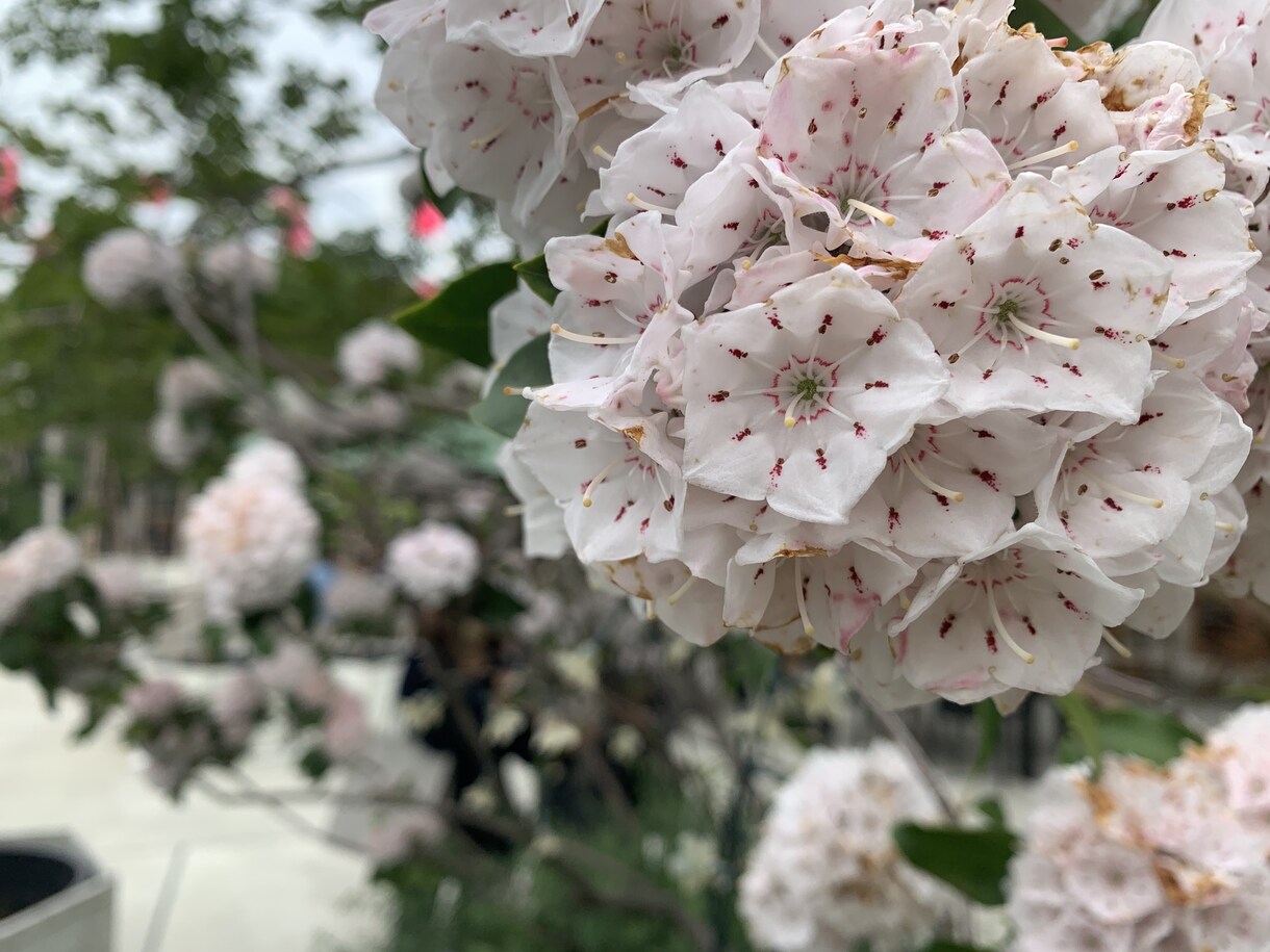 チャット♪お試し7日間！なんでも聞きます 愚痴、悩み、相談 、他愛のないお話しなんでもOKです♡ イメージ3
