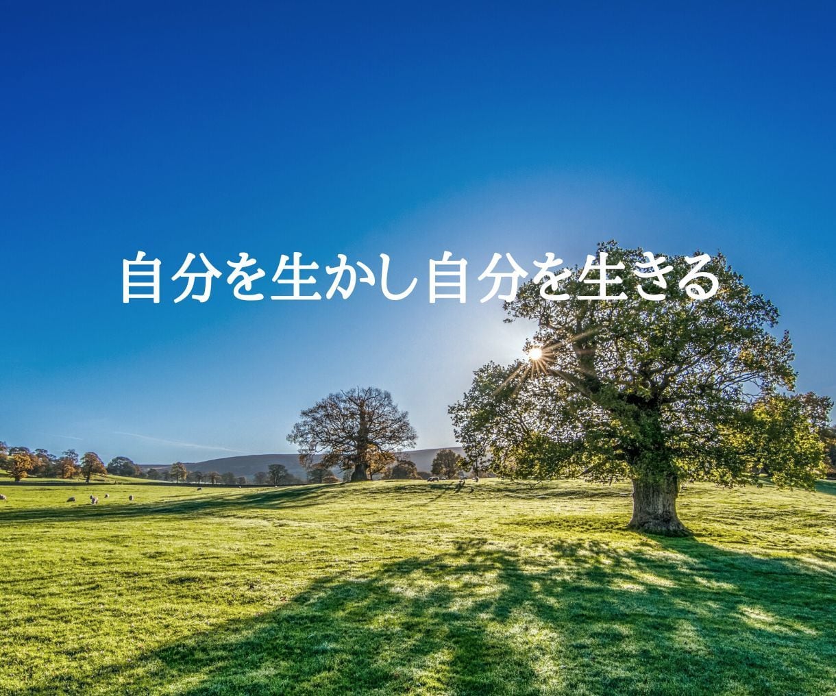 妊活中の不安や思い込みを手放し、未来志向を育てます 妊活メンタル3回コース 〜心を整え、未来へ踏み出す〜 イメージ9