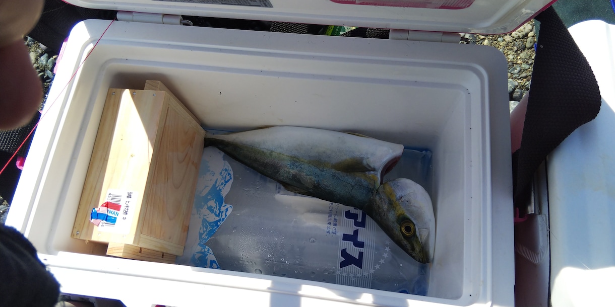 釣り初心者の方へ 希望に合わせてアドバイスします 釣歴30年の私が道具、エサ、釣り方、場所などアドバイスします イメージ8