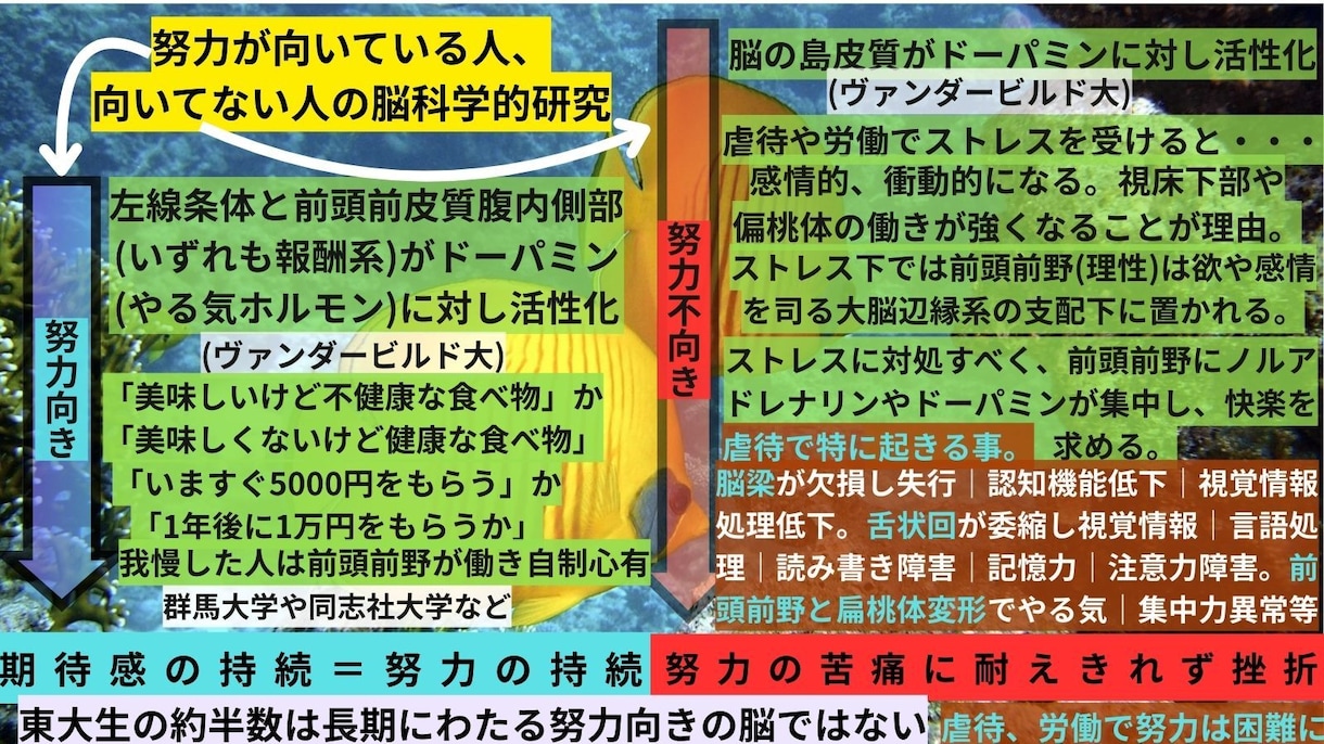 完全版　弱者の生きづらさの深刻な実態を網羅します 弱者を専門分析　480データが導き出す弱者理解・擁護　決定版 イメージ10