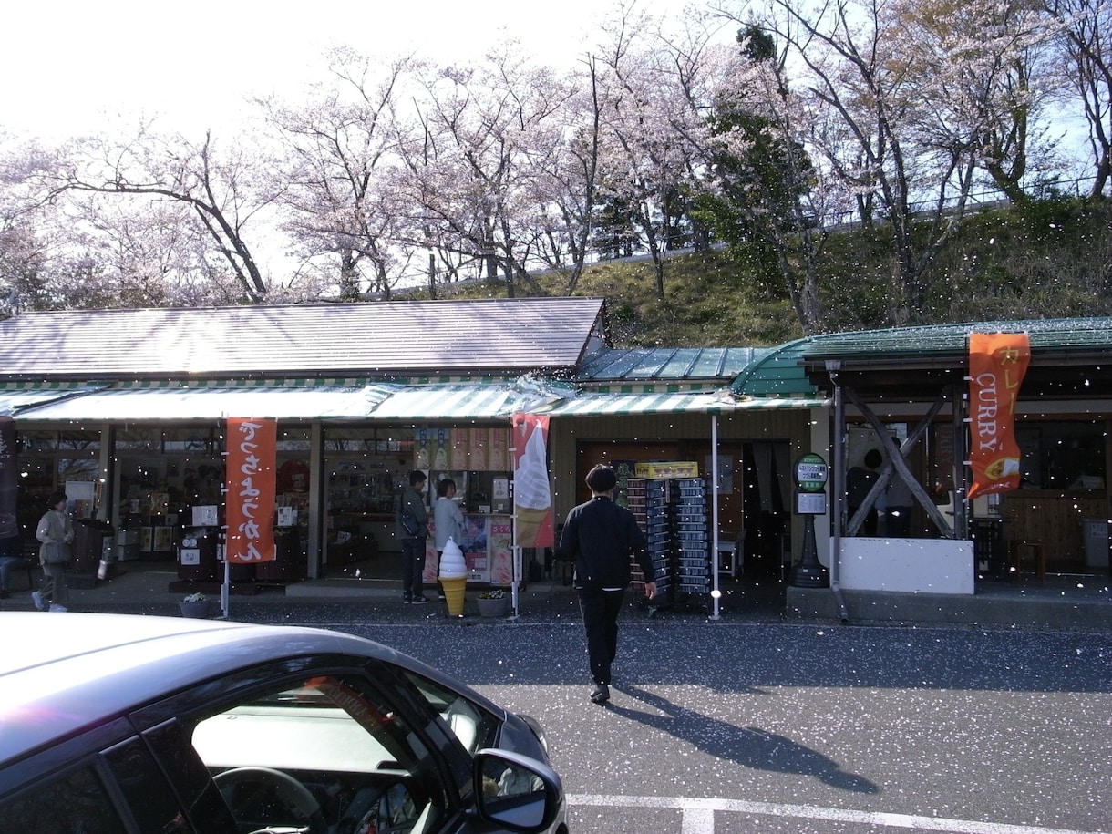 カメラ選びの相談に乗ります どのカメラを買えばいいかわからない。という方へ！ イメージ3