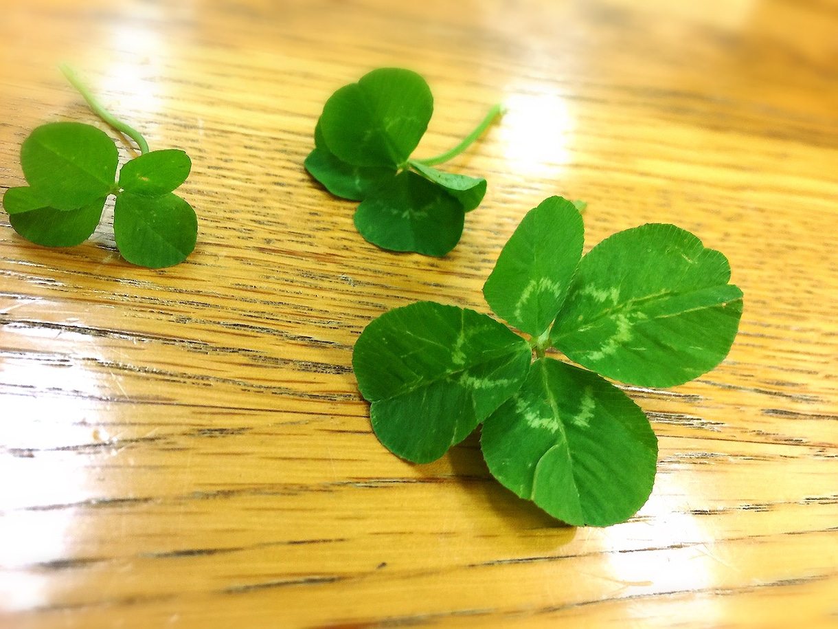 「こんな髪型にして」を具体的にカウンセリング イメージ3