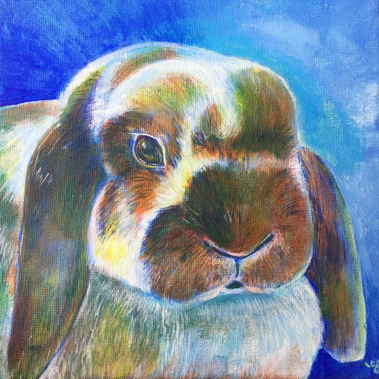 あなたのペット&お好きな動物のお顔描きます 海外路上絵描き経験有。愛情込めて描きます。(送料込) イメージ6