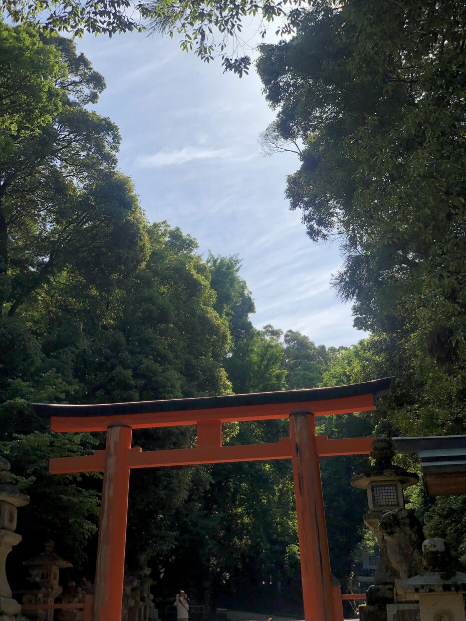 30分だけ即レス致します お返事平均1~3分です。雑談相談愚痴OK イメージ4