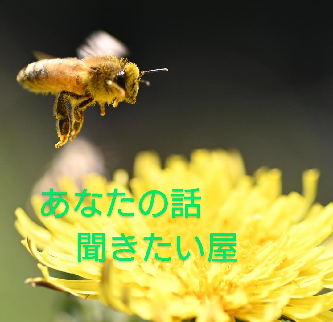 私「聞かせて屋」は、あなたの話を聞かせて頂きます 話をしたい。スッキリしたい。癒やされたいと思われる方。 イメージ1