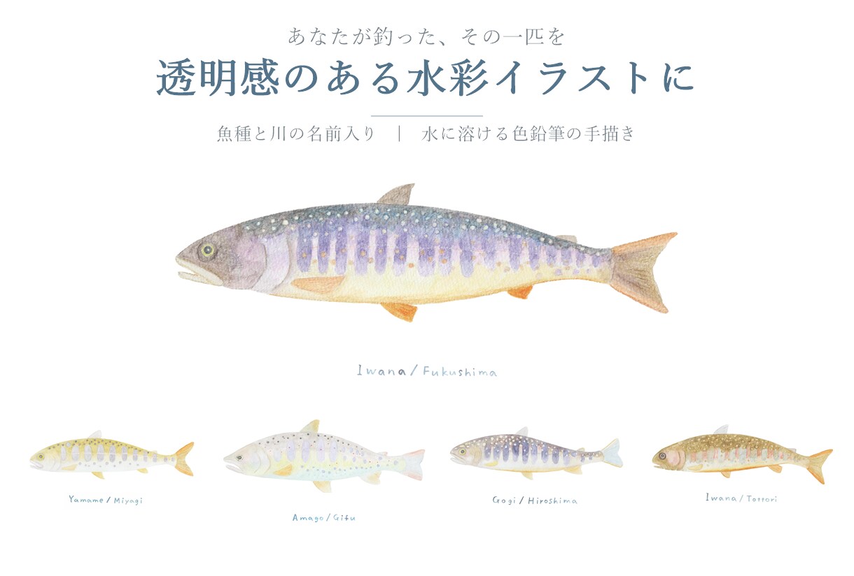 釣った渓流魚を透明感のある水彩で描きます 川ごとに違う色と模様を、水に溶ける色鉛筆で一枚に イメージ1