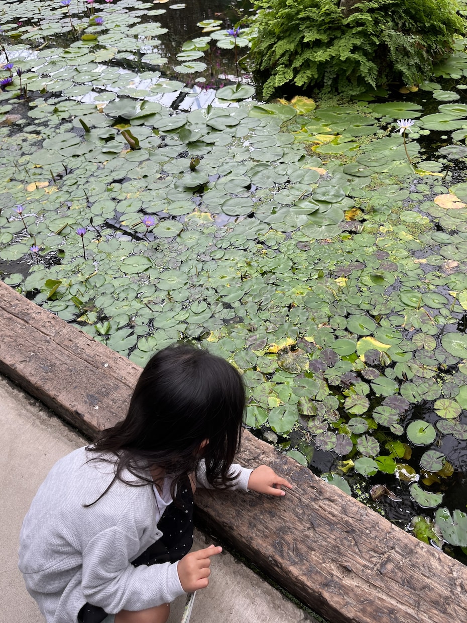 小学生の息子二人と４歳の娘がいます 父親です。雑談、相談、悩み、なんでも聴きます。 イメージ1