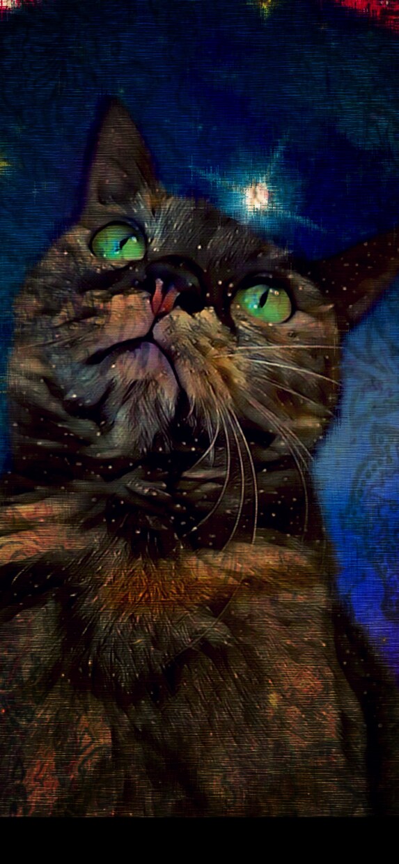 猫ちゃんのお写真から素敵なイラスト作成します オリジナルアートからグッズ化も可能です イメージ9