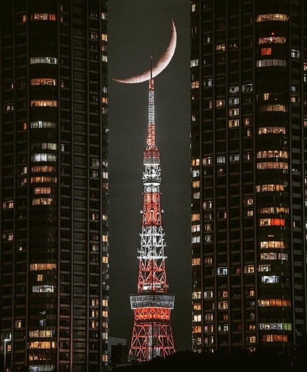 忖度なし！ビジネス全般鑑定します 的中♥独立、開業、職場での悩みなどオールジャンルOK イメージ1