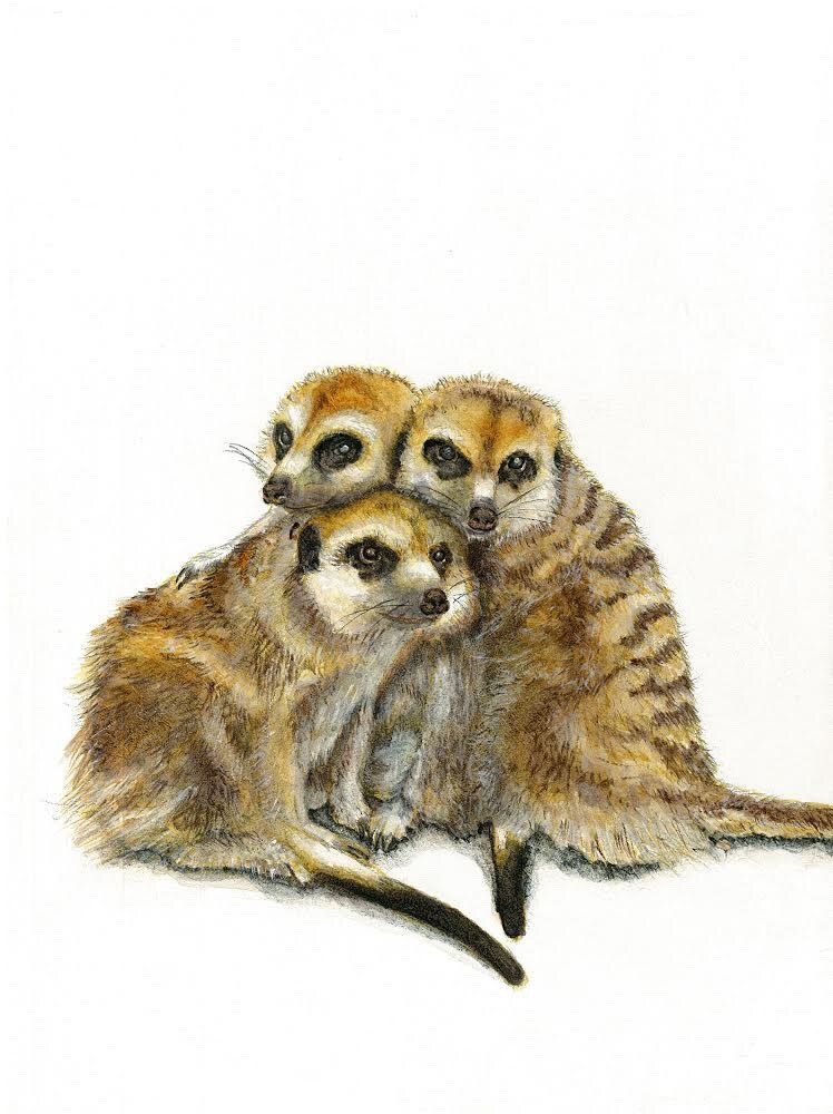 ペットのイラスト描きます ペットや動物、人の写真を送って頂き日本画（岩絵具）で描きます イメージ4
