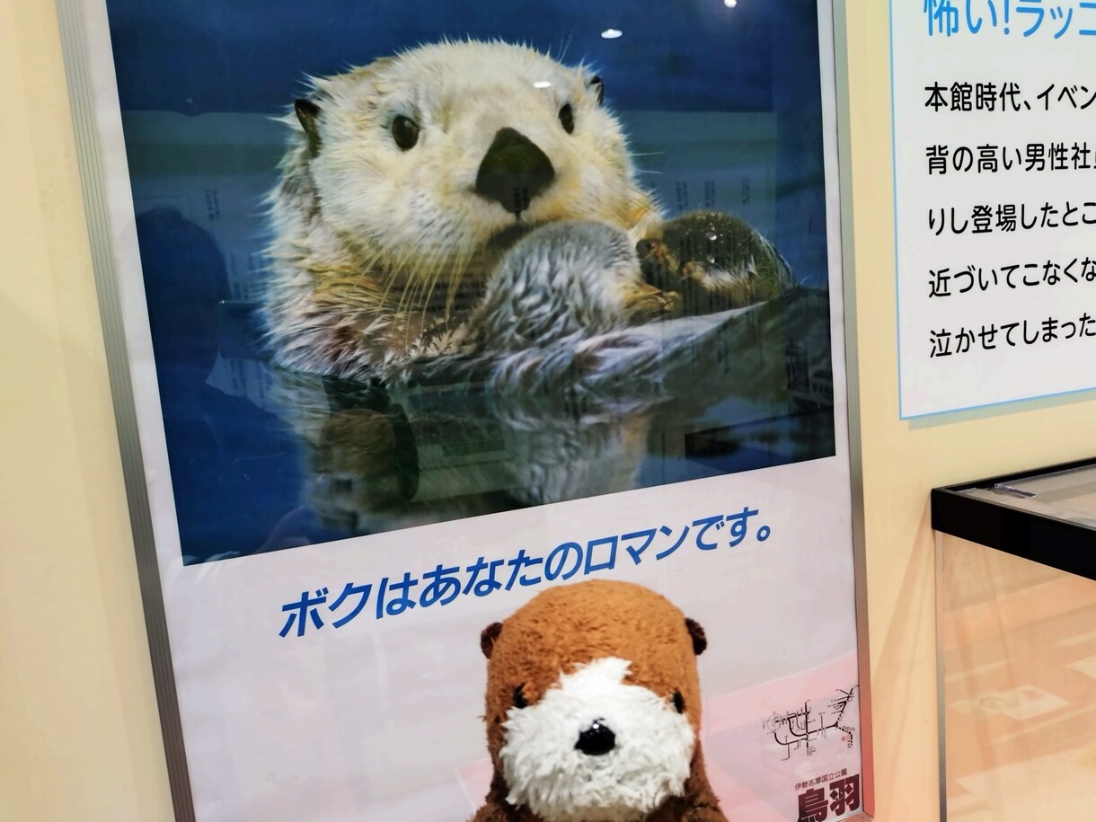 お話し聞きます 聞くのが好きなわたしがサポート イメージ1