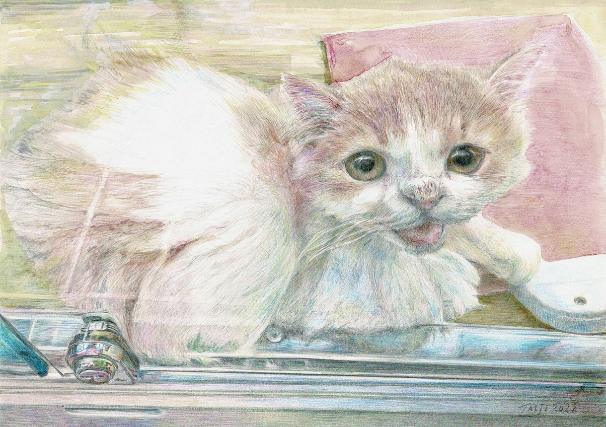 小説や絵本の手描きの挿絵を制作します 温もりがある手描きイラストはいかが？多様なジャンルに対応 イメージ9