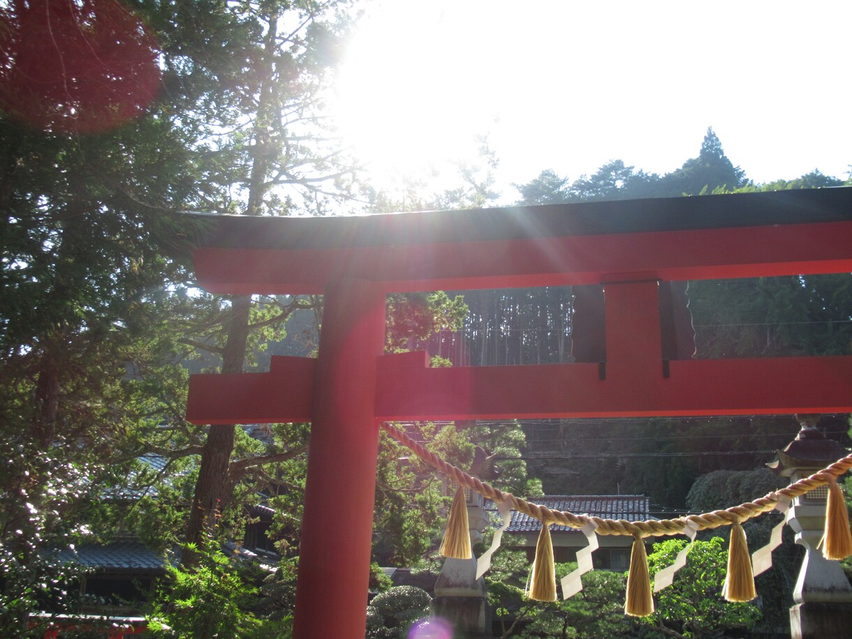 魂の開花メッセージをお届け致します 一歩前に進みたい時、魂のほんとうの声をきく事で開けてゆきます イメージ4