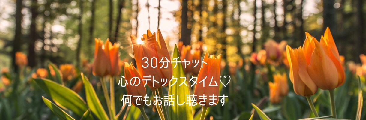 心のデトックスタイム♡愚痴悩み何でも話し聴きます チャットでお話し♡500円であなたの心をすっきり♡寄り添い♡ イメージ1