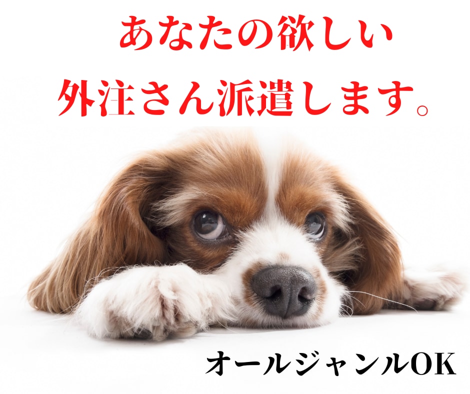 あなたのニーズに応じた外注さんを派遣します オールジャンルOK♪ご希望のジャンルのワーカーさん！ イメージ1