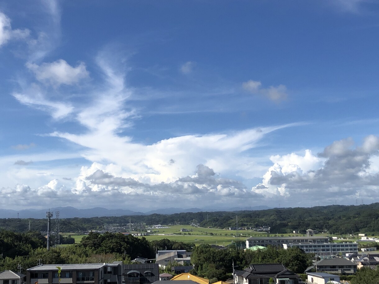 四柱推命鑑定をもとに、悩みや夢へのアドバイスします 占い好きな方、悩みや夢にどう行動していくか困ってる方へ イメージ4