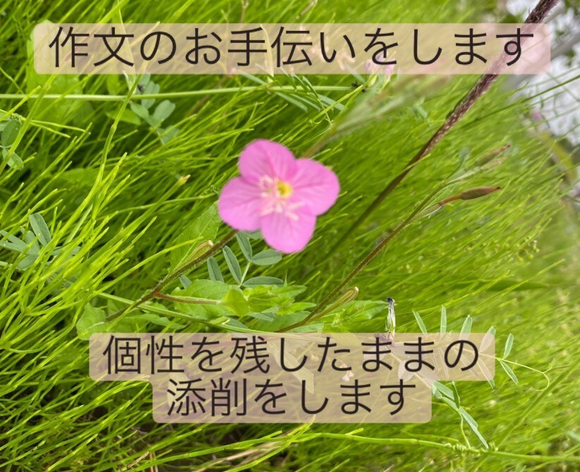 お子さんの作文の添削をします 個性を残したままの添削、作文の書き方のご提案をします イメージ1
