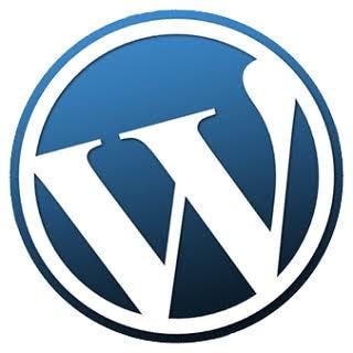 ドメインやサーバーの取得を全面サポートします WordPressでHPやブログを始めたい初心者の方へ。 イメージ1