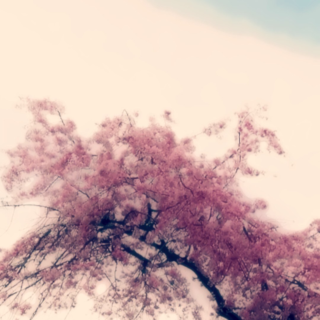 即興語り承ります あなたのためだけの物語、紡ぎます。 イメージ1