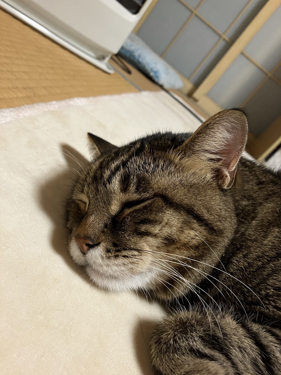 オタクがお話お聴きします オタクがどんなお話でもお聴きします。どんな話題でも気軽 イメージ1