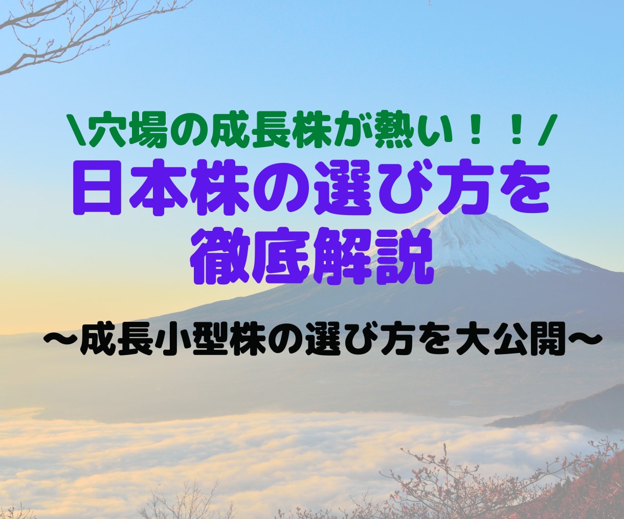 株式投資【日本株投資法】を具体的に解説します 【1週間無制限コンサル付き】なんでも質問にお答えします イメージ1