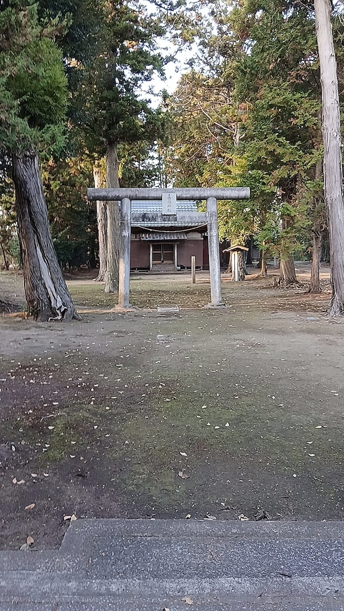 全てを見ることができます 全てを見ることができます 何でもいいです イメージ3