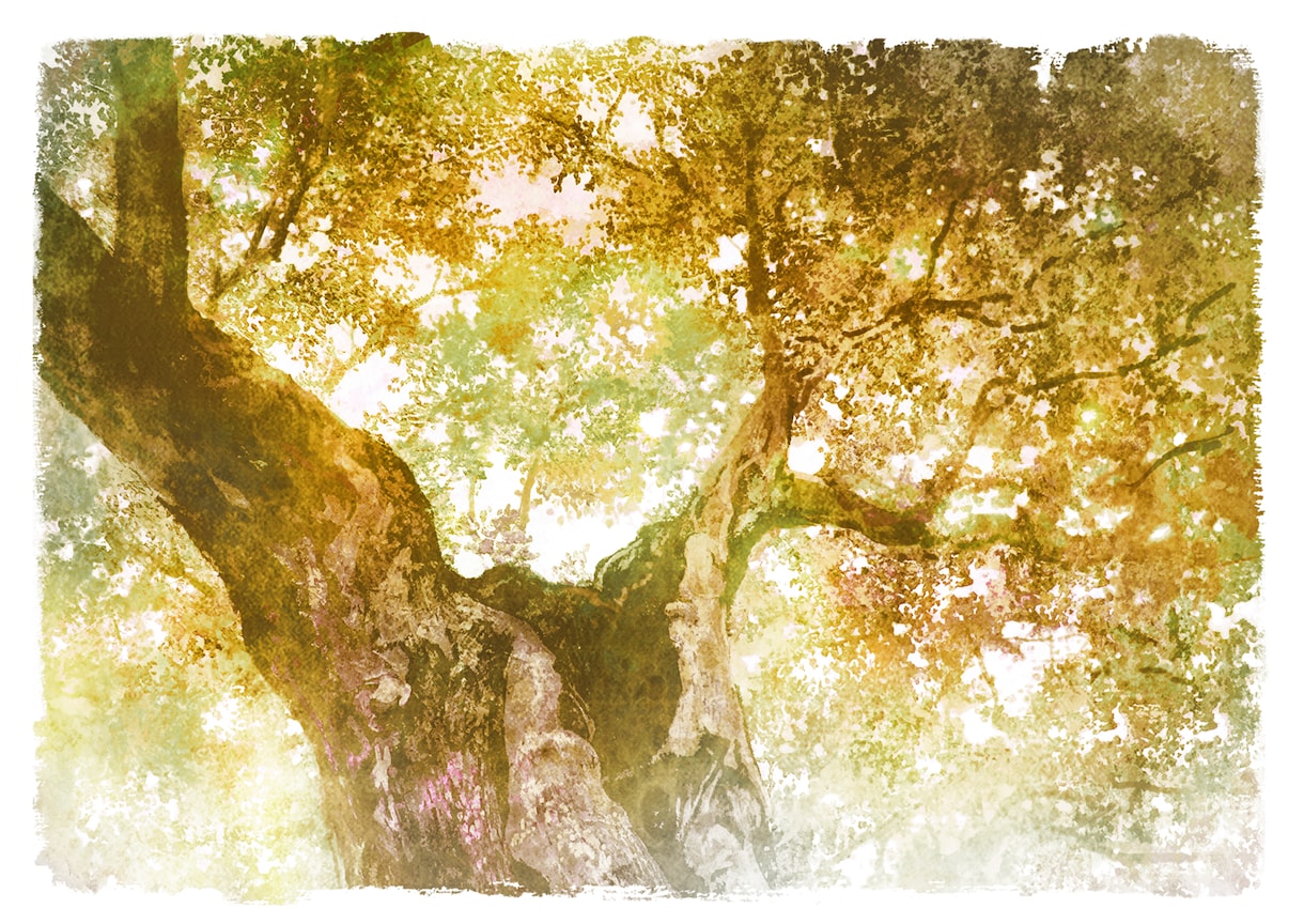 風景イラスト（水彩画・アニメ背景画風）描きます ★本挿絵・WEB・観光案内・動画配信背景などへもOK！ イメージ5