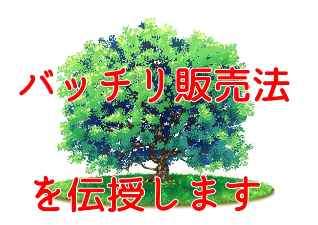 たくさん売れた販売法を伝授いたします 技術屋でも売れた販売法ならたくさん売れる！！ イメージ1