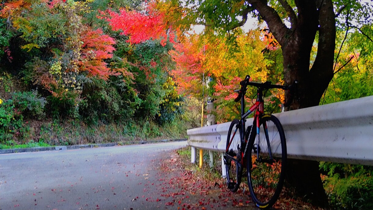 熊本のオススメのサイクリングコース計画します 熊本で脚力に合わせたコース作成等します！ イメージ1