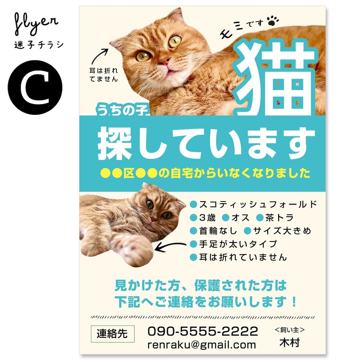 迷子チラシ（猫･犬･鳥など）をお作りします 最愛のお子さんを目立つようにデザインします イメージ6