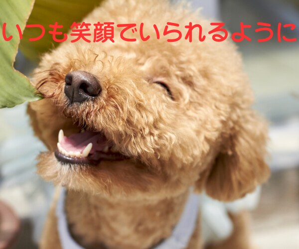 お相手からの束縛、精神的DV、モラハラお聞きします あなたの辛さに寄り添い、心の負担を軽くします。 イメージ5