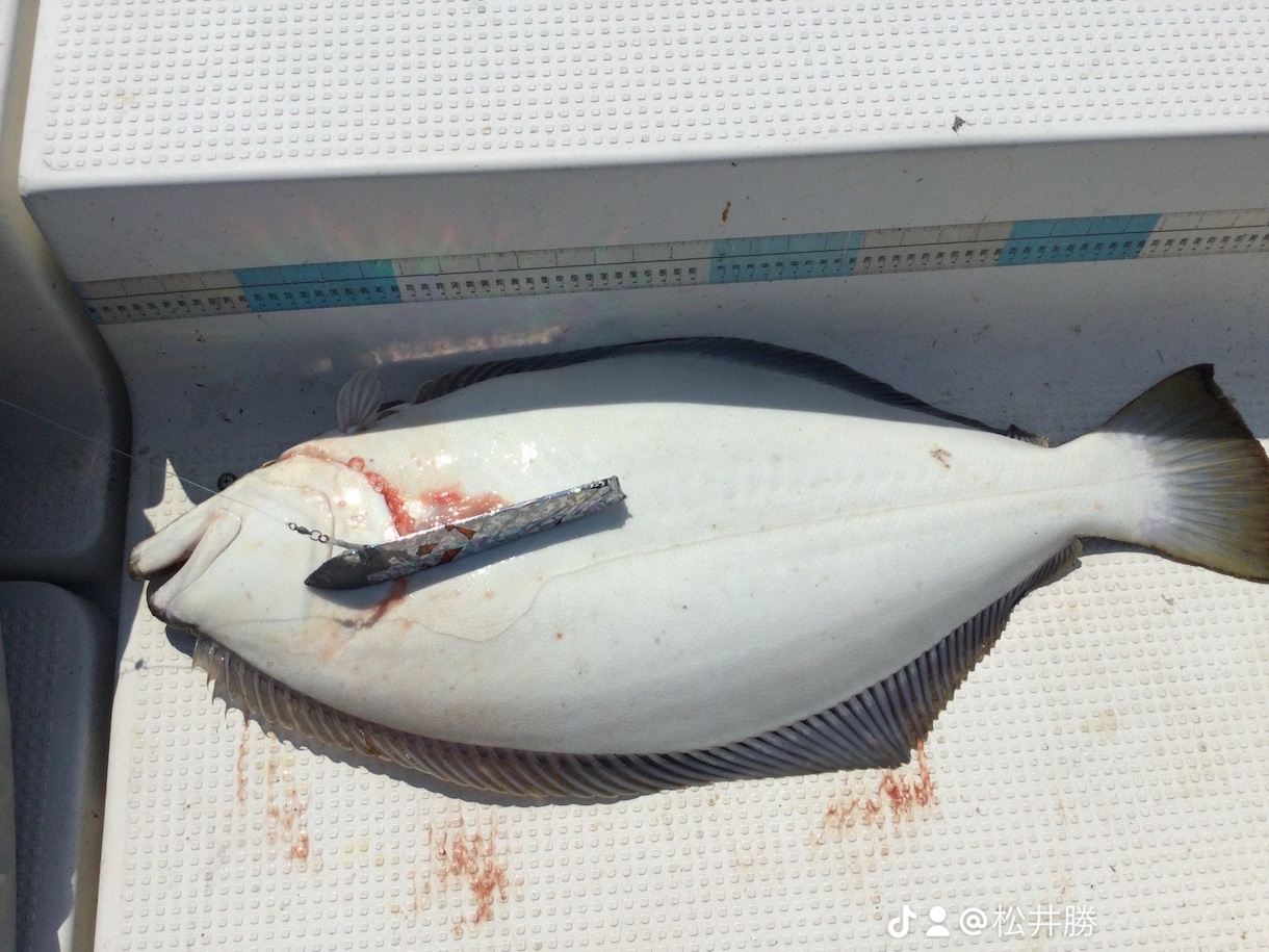 ボート釣りノウハウ教えます 釣り歴30年プレジャーボート乗ってます。 イメージ1