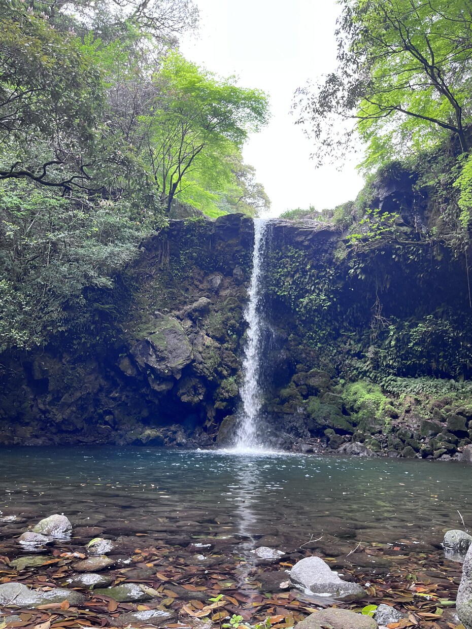 仕事復帰したい！でも不安。相談乗ります 仕事戻るのが怖い、仕事できるか不安、復帰までに体調を整えたい イメージ2