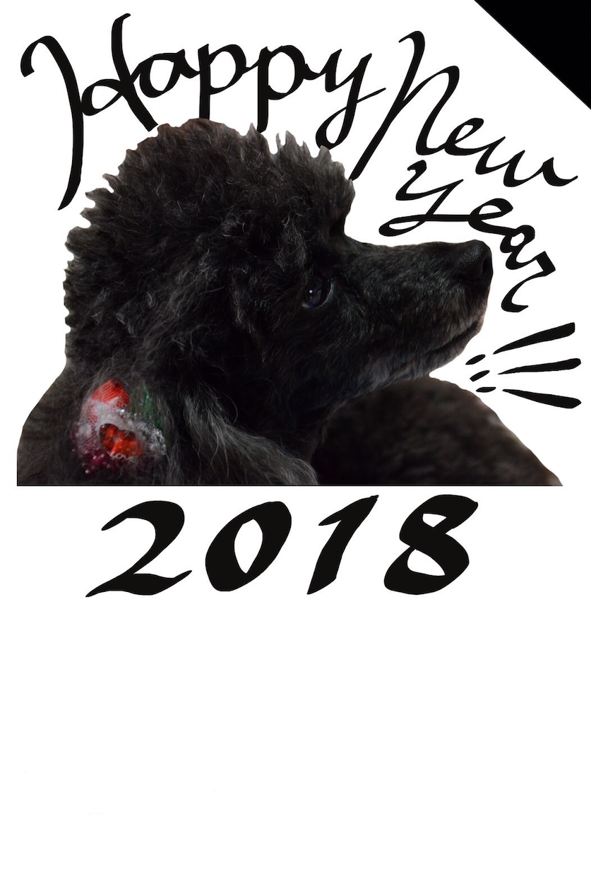 年賀状、ポストカード作成します 自分だけのオリジナルのかわいい年賀状、ポストカード作成します イメージ3