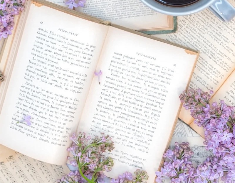 小説を熟読し、考察しながら感想を書いて、褒めます AI不使用♪作品もメモも感想文も食べさせません！未完も歓迎♪ イメージ9