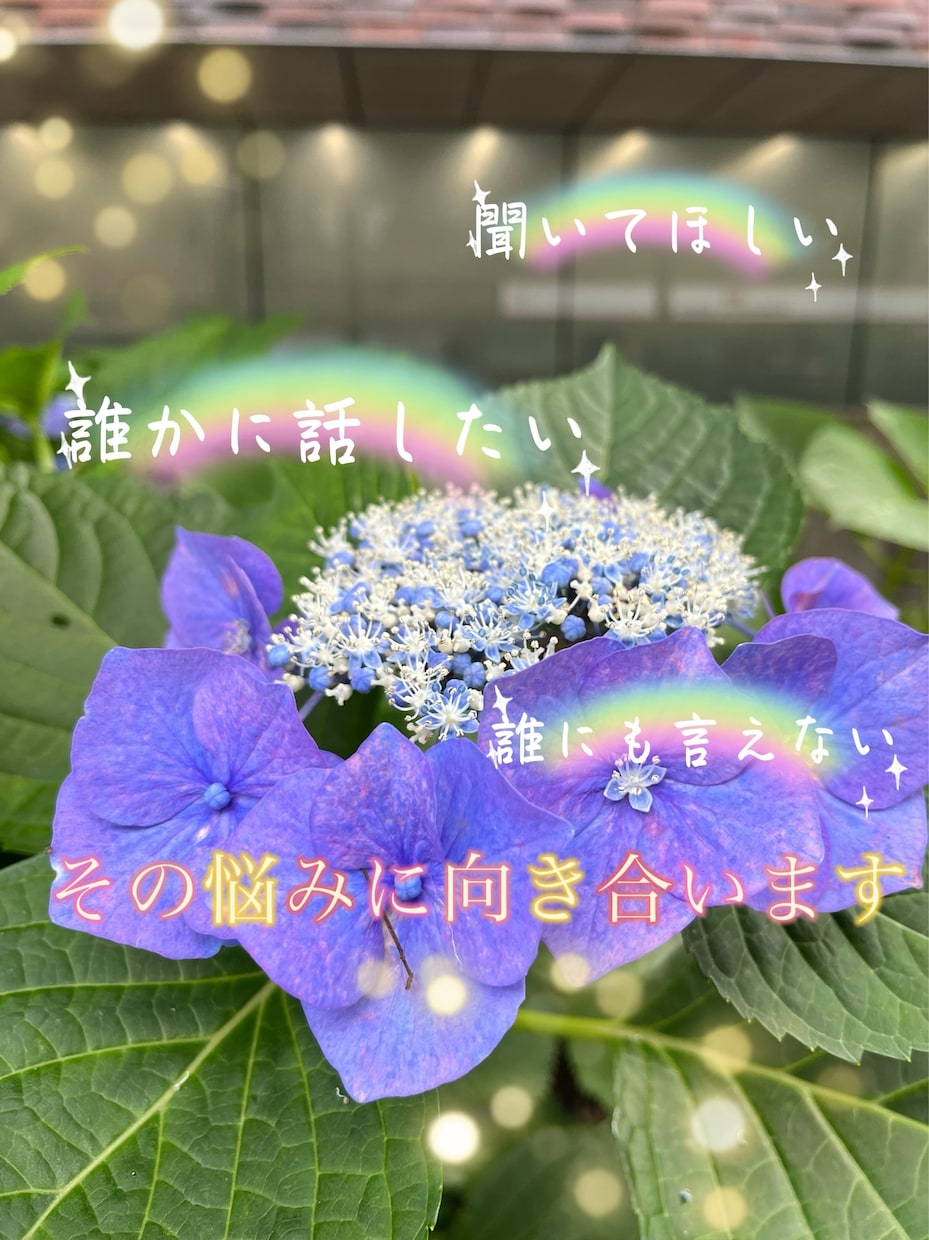 ただ話したい聞いてほしい！否定せずやさしく聞きます 悩み相談/話し相手/愚痴/なんでも聞くよ(*´꒳`*) イメージ2