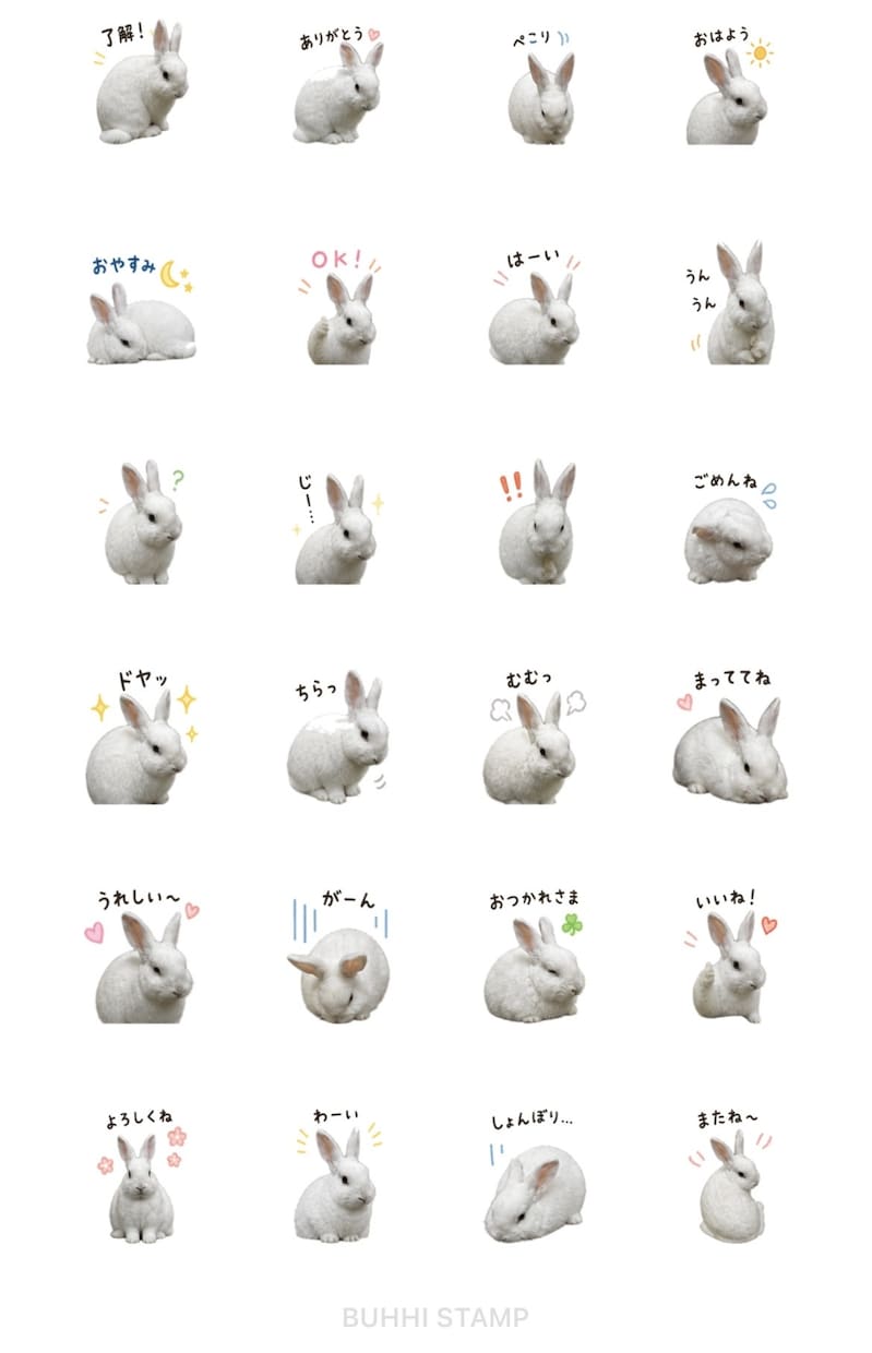 ペットや家族のLINEスタンプ作成します 写真からかわいいスタンプを作ります イメージ1