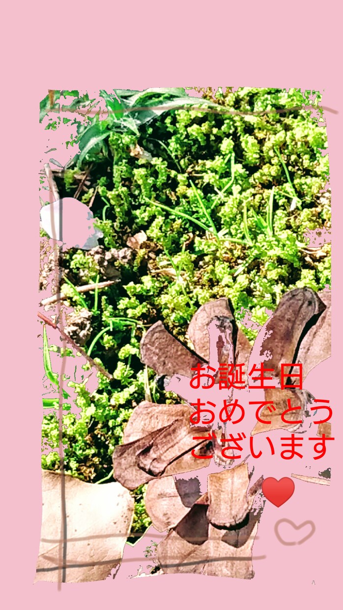 4月生まれの貴方♥️お誕生日おめでとうございます 誕生日素敵な思い出♥️今年より素敵なお誕生日といたしましょう イメージ6